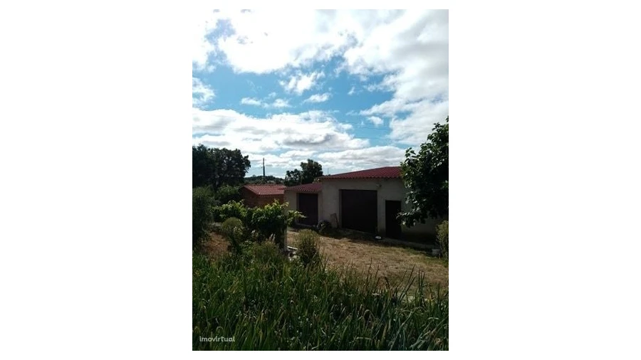 Quinta para Venda em Mação, Penhascoso e Aboboreira Foto 29