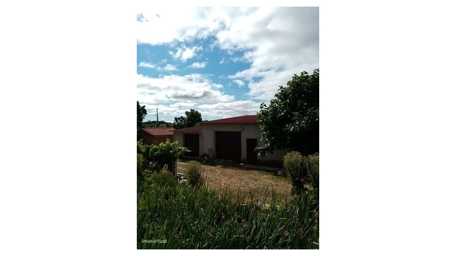 Quinta para Venda em Mação, Penhascoso e Aboboreira Foto 34