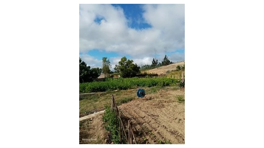 Quinta para Venda em Mação, Penhascoso e Aboboreira Foto 35