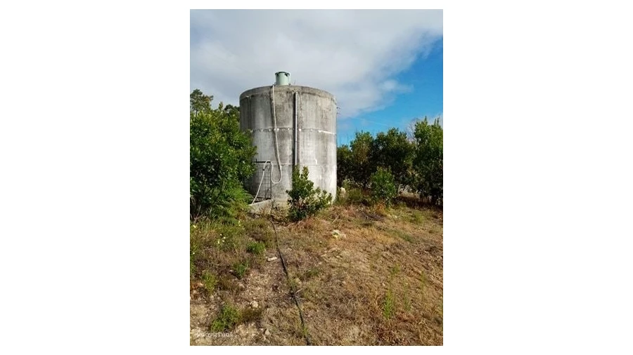 Quinta para Venda em Mação, Penhascoso e Aboboreira Foto 37