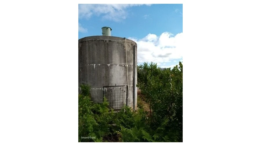 Quinta para Venda em Mação, Penhascoso e Aboboreira Foto 38