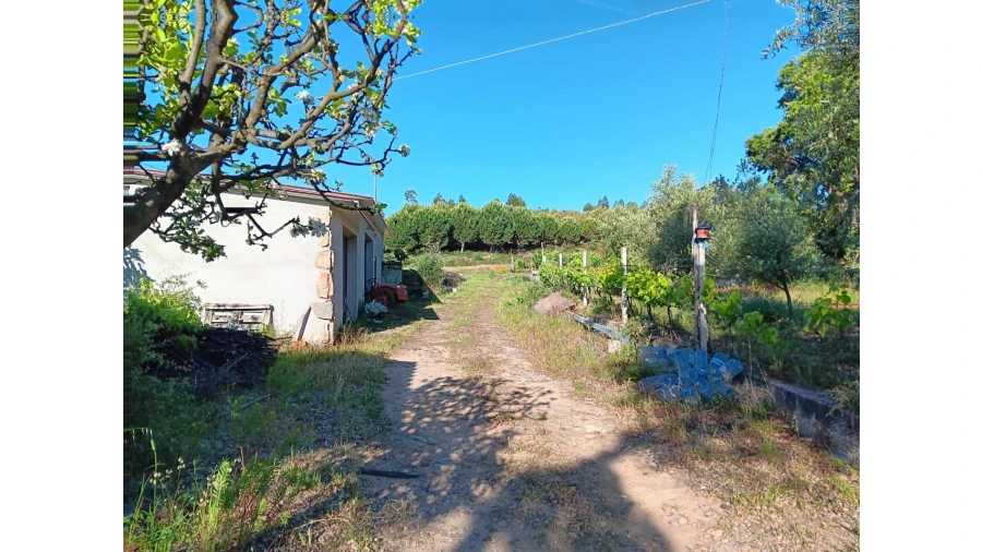Quinta para Venda em Mação, Penhascoso e Aboboreira Foto 2
