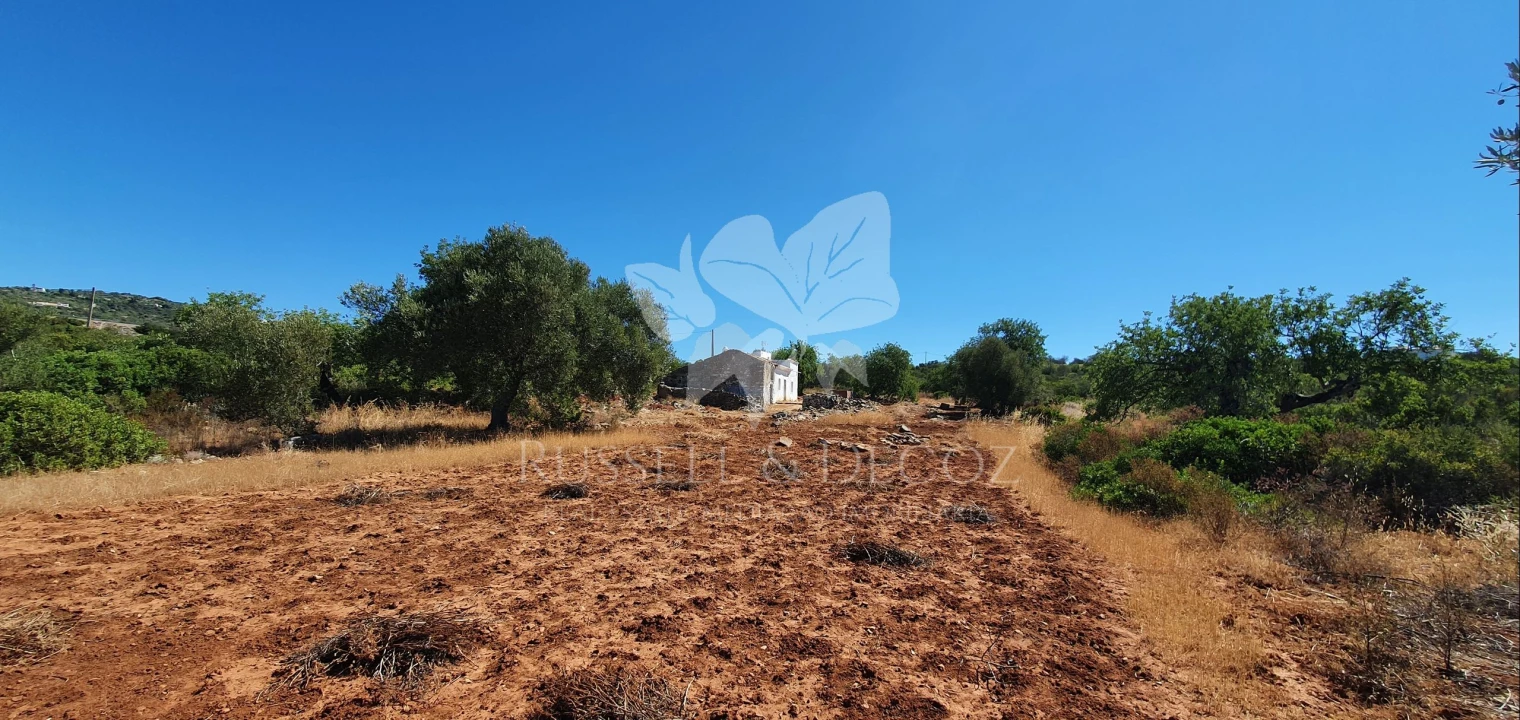 Terreno para Venda em Faro (Sé e São Pedro) Foto 10
