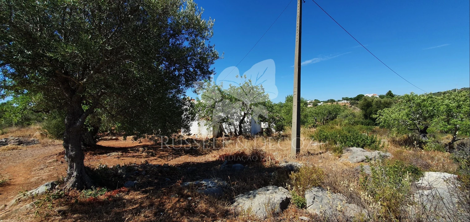 Terreno para Venda em Faro (Sé e São Pedro) Foto 14