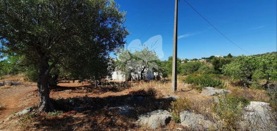Terreno para Venda em Faro (Sé e São Pedro)