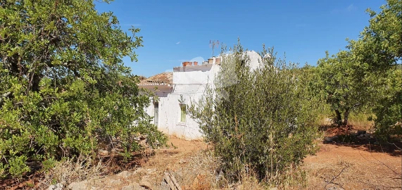 Terreno para Venda em Faro (Sé e São Pedro)