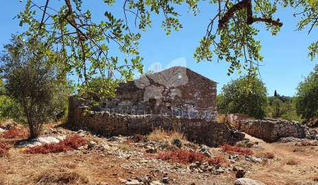 Terreno para Venda em Faro (Sé e São Pedro)