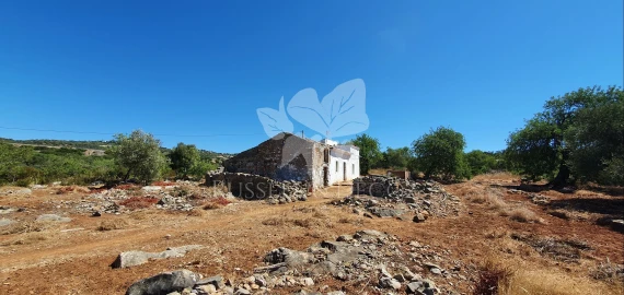 Terreno para Venda em Faro (Sé e São Pedro)