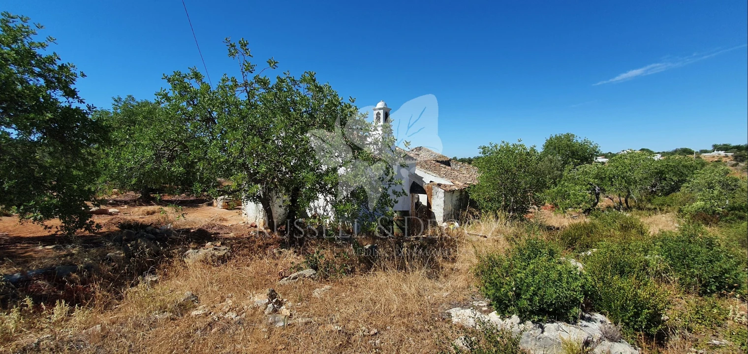 Terreno para Venda em Faro (Sé e São Pedro) Foto 15