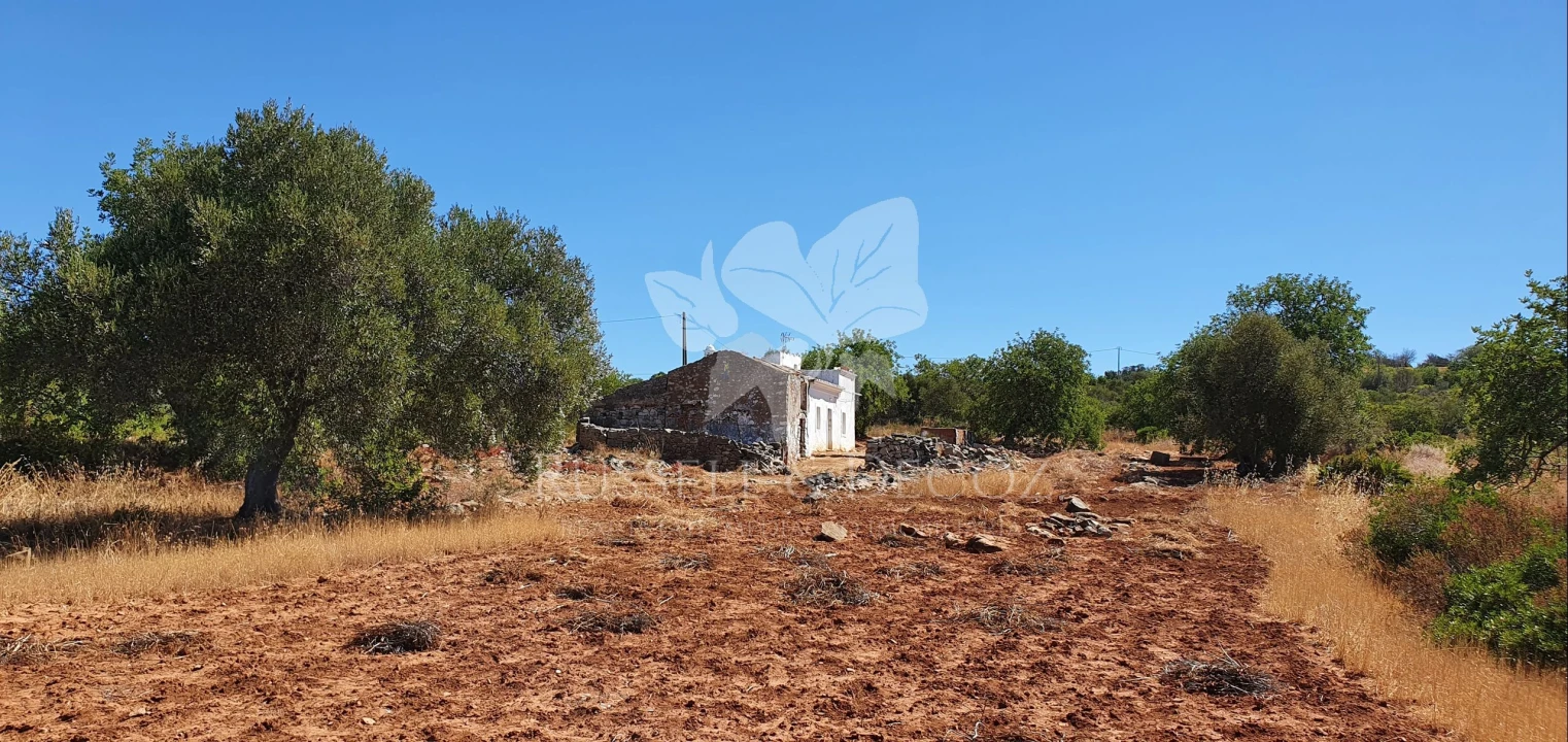 Terreno para Venda em Faro (Sé e São Pedro) Foto 9