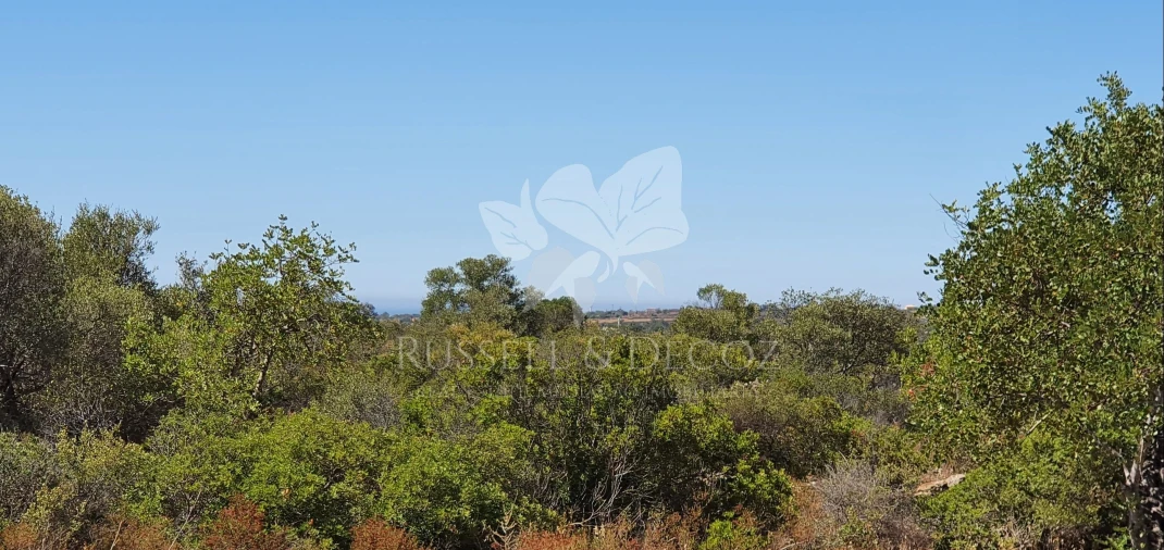 Terreno para Venda em Faro (Sé e São Pedro) Foto 28