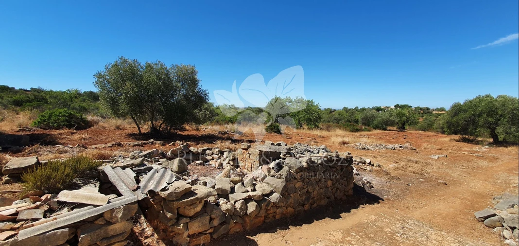 Terreno para Venda em Faro (Sé e São Pedro) Foto 20