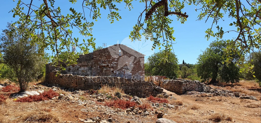 Terreno para Venda em Faro (Sé e São Pedro) Foto 33
