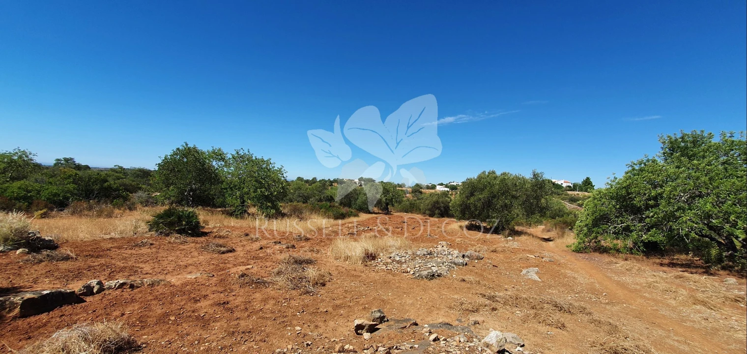 Terreno para Venda em Faro (Sé e São Pedro) Foto 26