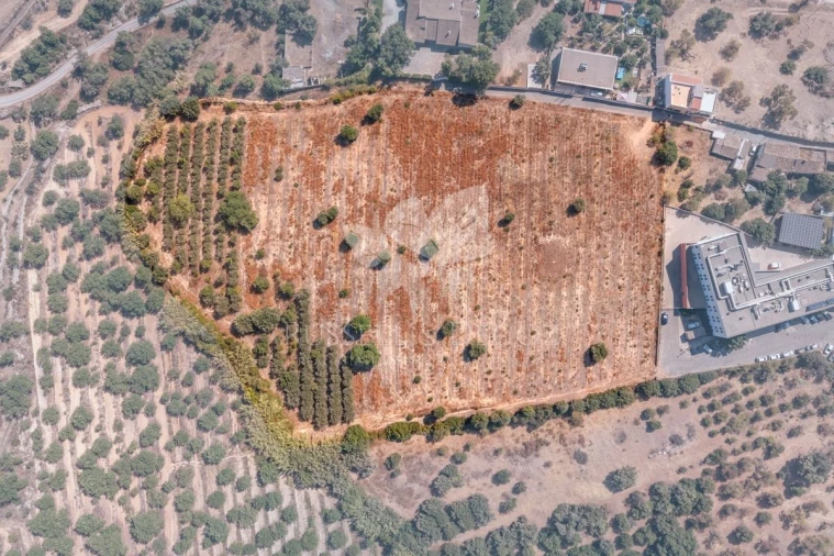 Terreno para Venda em Faro (Sé e São Pedro) Foto 10