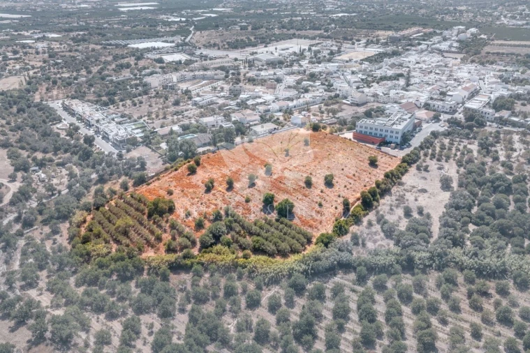 Terreno para Venda em Faro (Sé e São Pedro) Foto 2