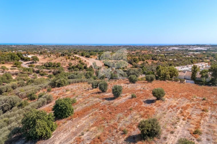 Terreno para Venda em Faro (Sé e São Pedro) Foto 17