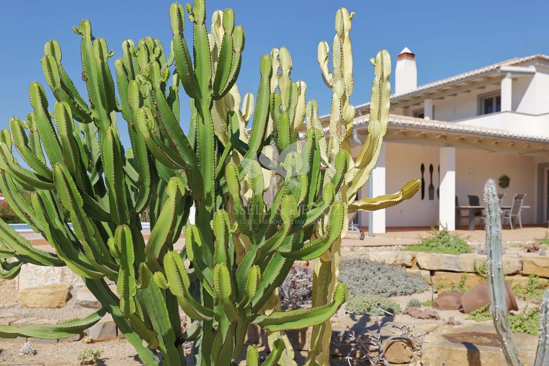 Moradia T4 para Venda em Conceição e Cabanas de Tavira Foto 23