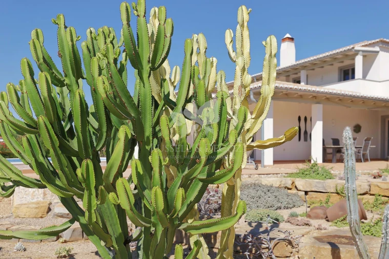 Moradia T4 para Venda em Conceição e Cabanas de Tavira Foto 23