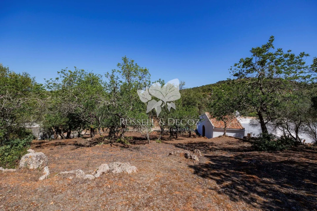 Quinta T3 para Venda em Santa Barbara de Nexe Foto 21