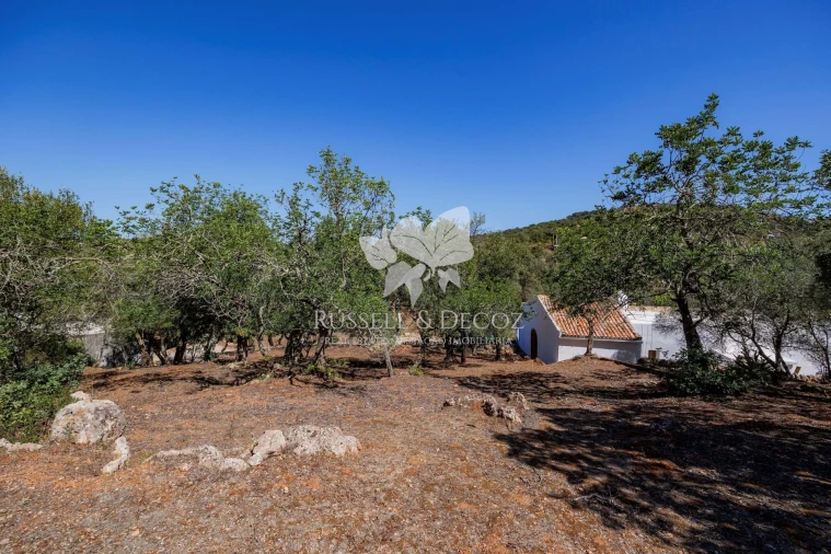 Quinta T3 para Venda em Santa Barbara de Nexe Foto 21