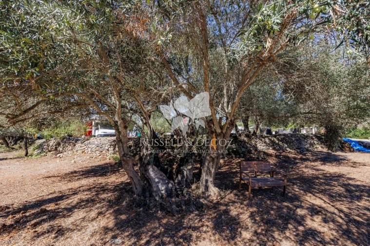 Quinta T3 para Venda em Santa Barbara de Nexe Foto 22