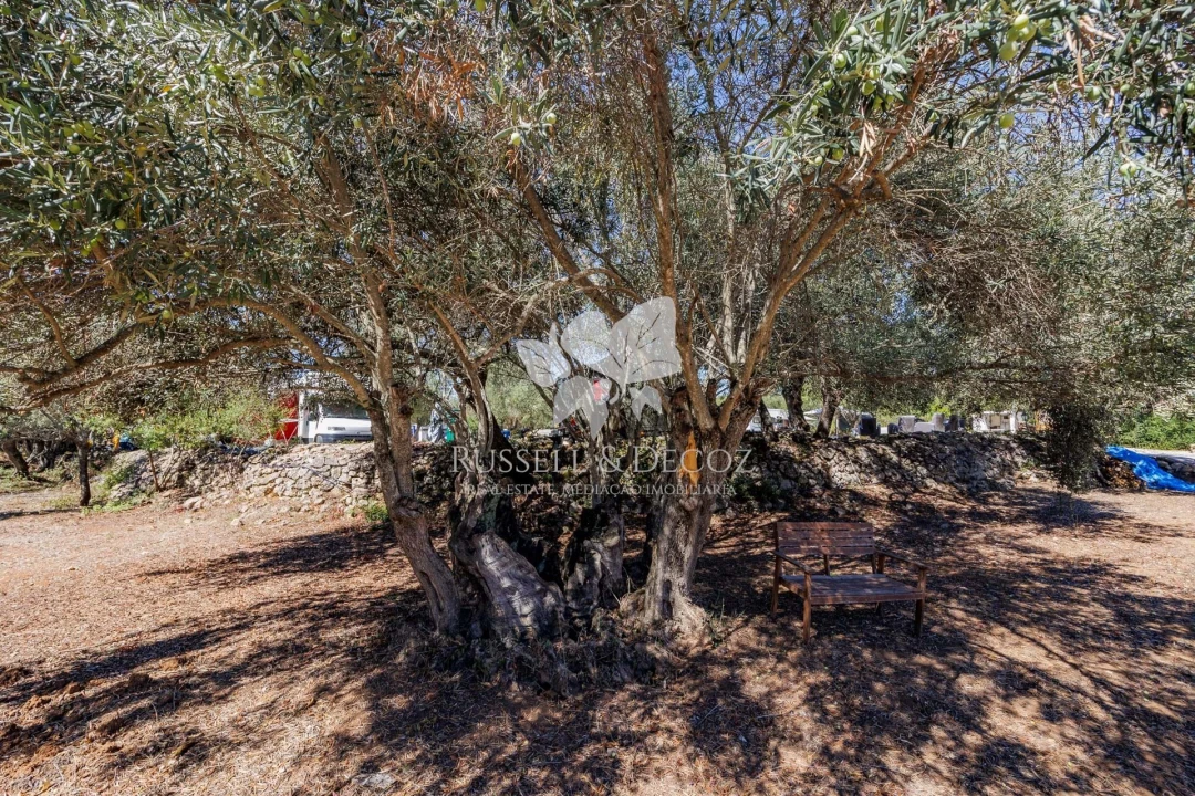 Quinta T3 para Venda em Santa Barbara de Nexe Foto 22