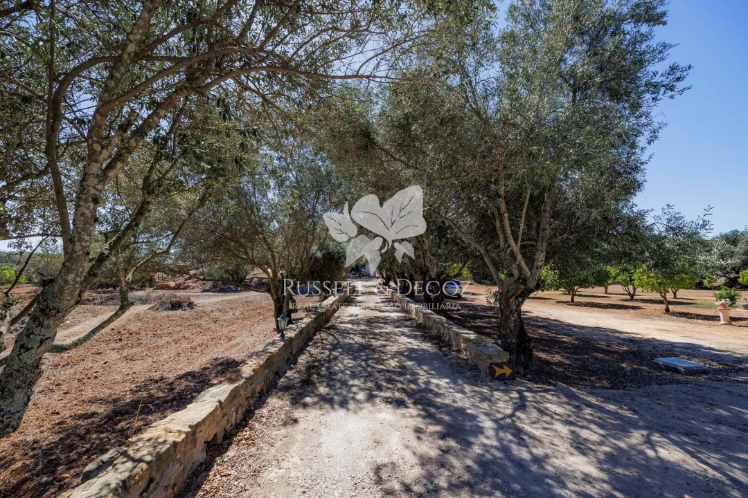 Quinta T3 para Venda em Santa Barbara de Nexe Foto 2