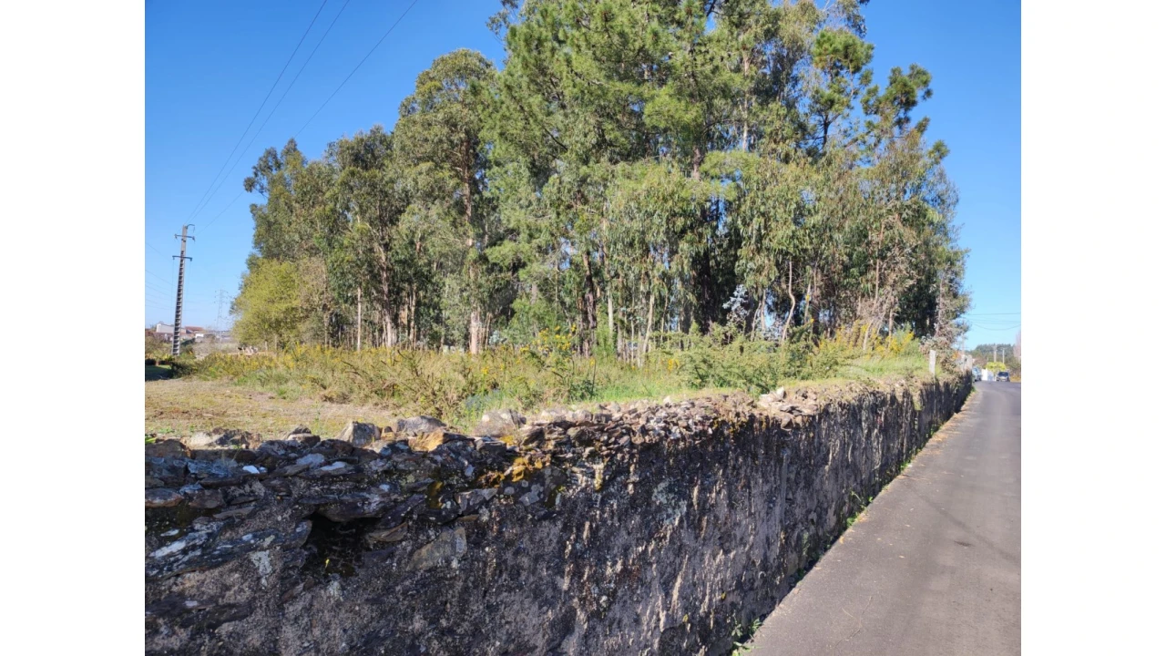 Terreno para Venda em São Miguel do Souto e Mosteirô Foto 2