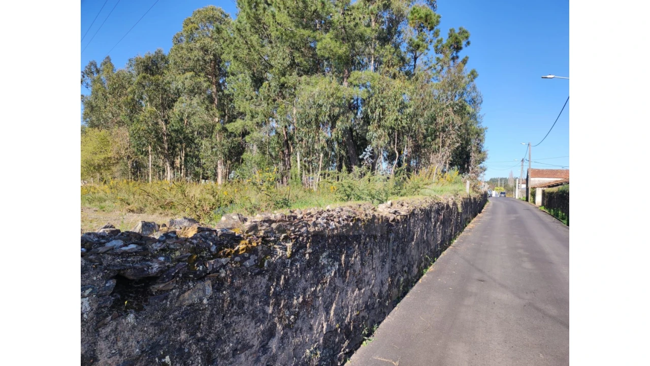 Terreno para Venda em São Miguel do Souto e Mosteirô Foto 3