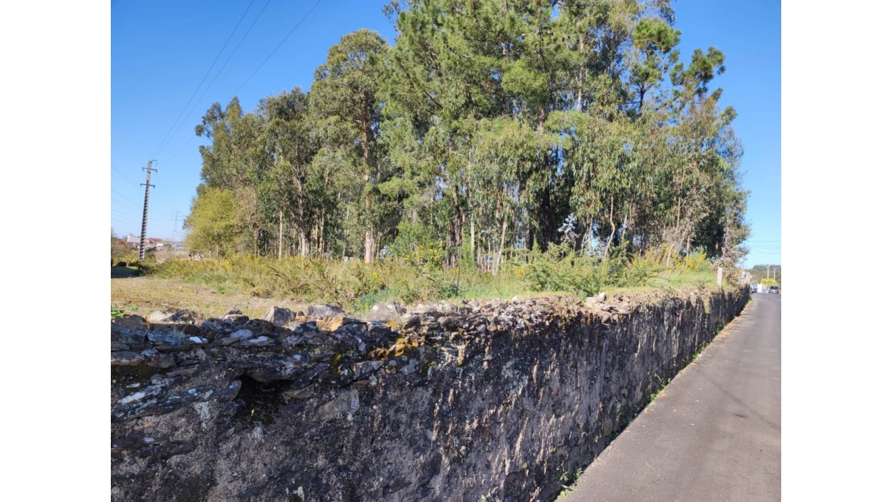 Terreno para Venda em São Miguel do Souto e Mosteirô Foto 4