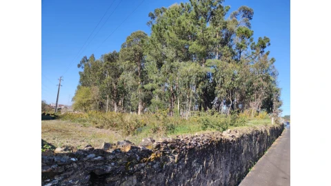 Terreno para Venda em São Miguel do Souto e Mosteirô