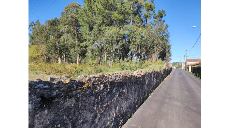 Terreno para Venda em São Miguel do Souto e Mosteirô Foto 3