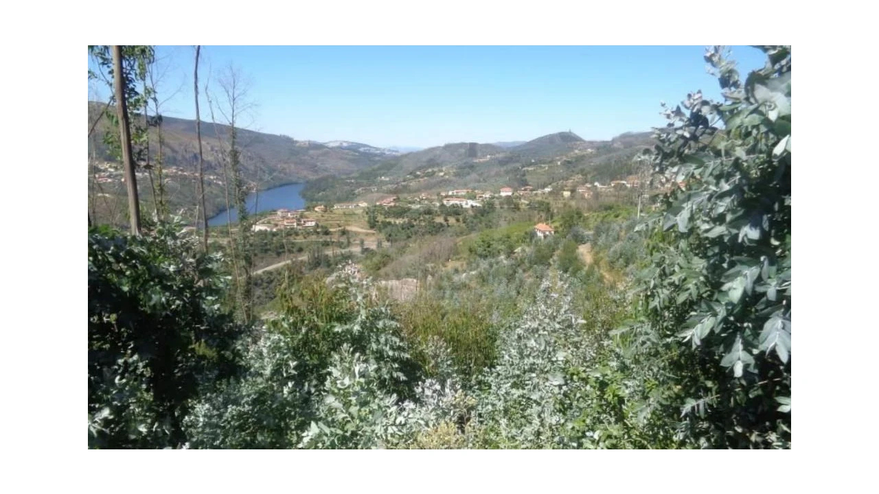 Terreno Agricola ou Rústico para Venda em Raiva, Pedorido e Paraíso Foto 1