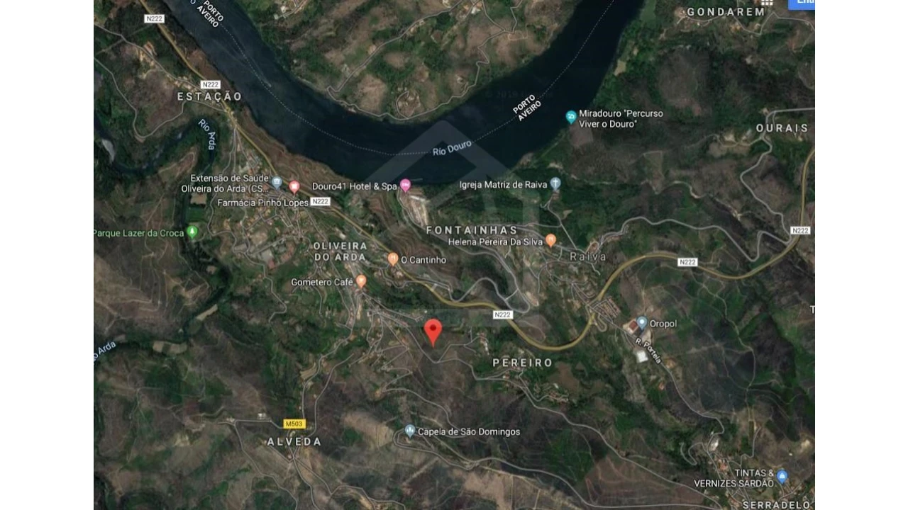 Terreno Agricola ou Rústico para Venda em Raiva, Pedorido e Paraíso Foto 3