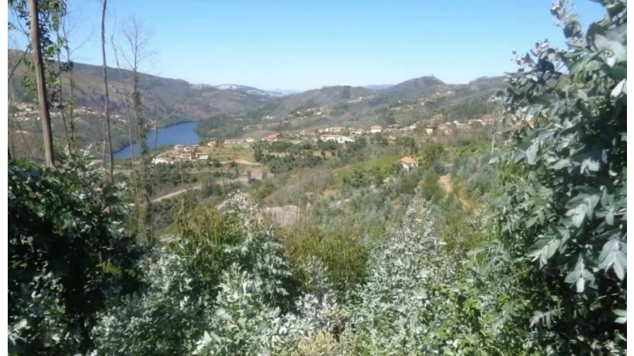 Terreno Agricola ou Rústico para Venda em Raiva, Pedorido e Paraíso