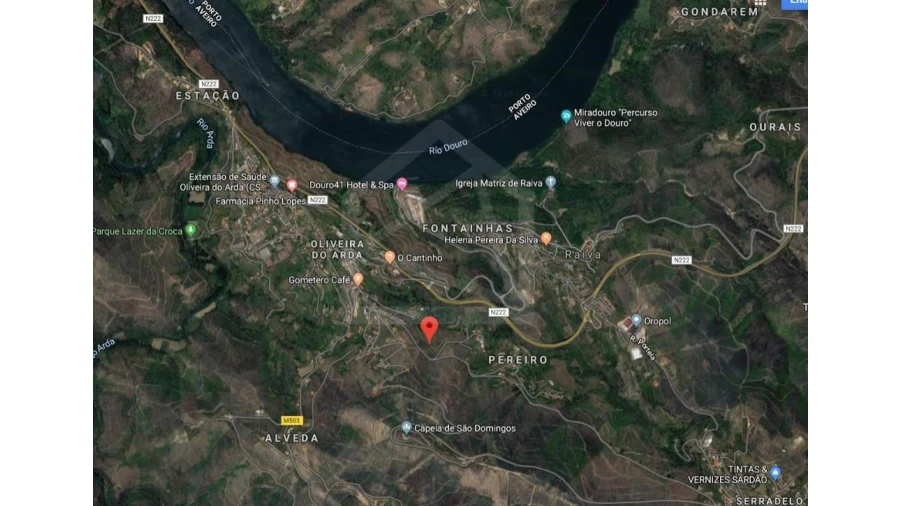 Terreno Agricola ou Rústico para Venda em Raiva, Pedorido e Paraíso Foto 3