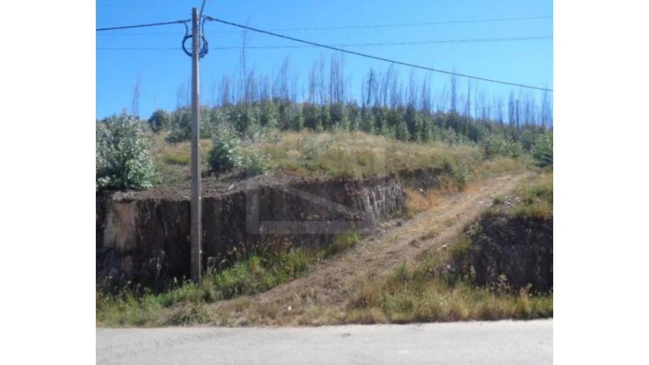 Terreno Agricola ou Rústico para Venda em Raiva, Pedorido e Paraíso Foto 2