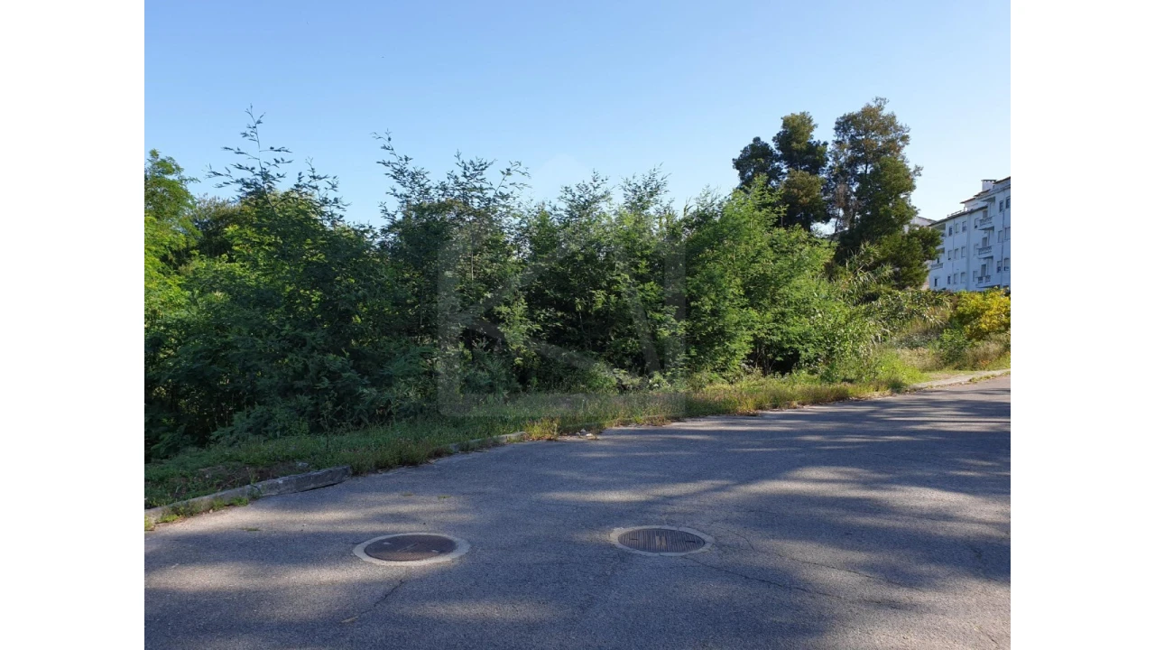 Terreno para Venda em Águeda e Borralha Foto 6