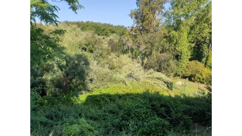Terreno para Venda em Águeda e Borralha