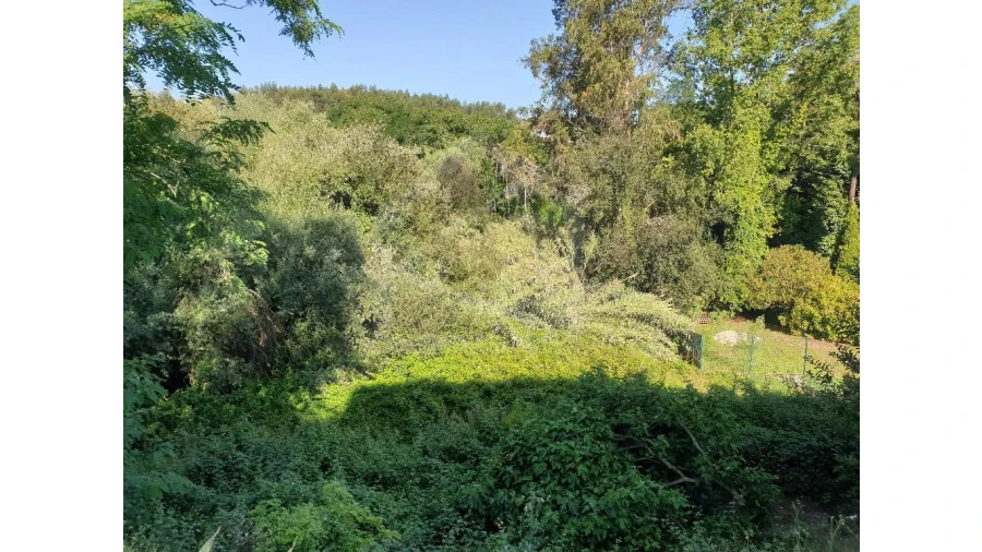 Terreno para Venda em Águeda e Borralha Foto 2