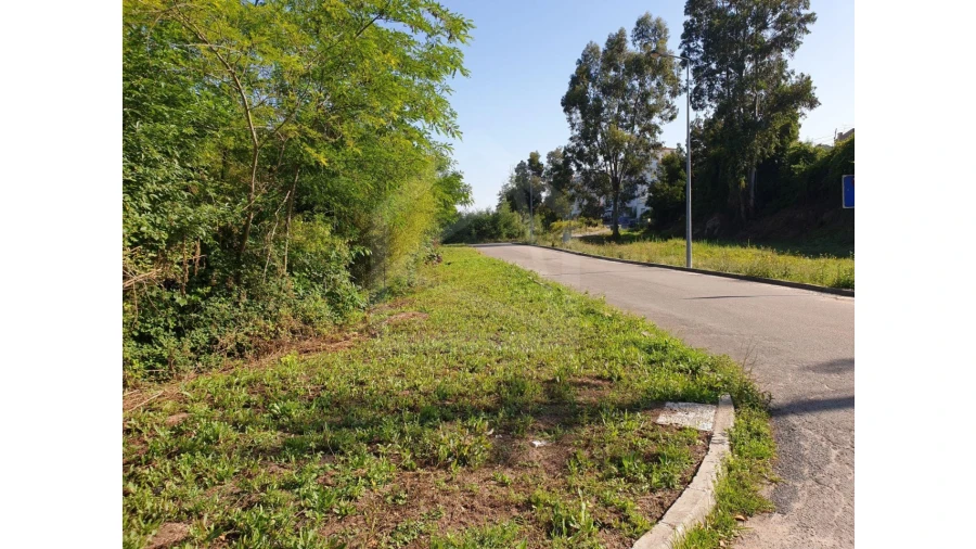 Terreno para Venda em Águeda e Borralha Foto 5