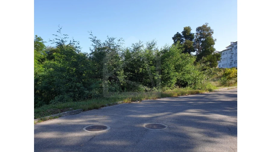 Terreno para Venda em Águeda e Borralha Foto 6
