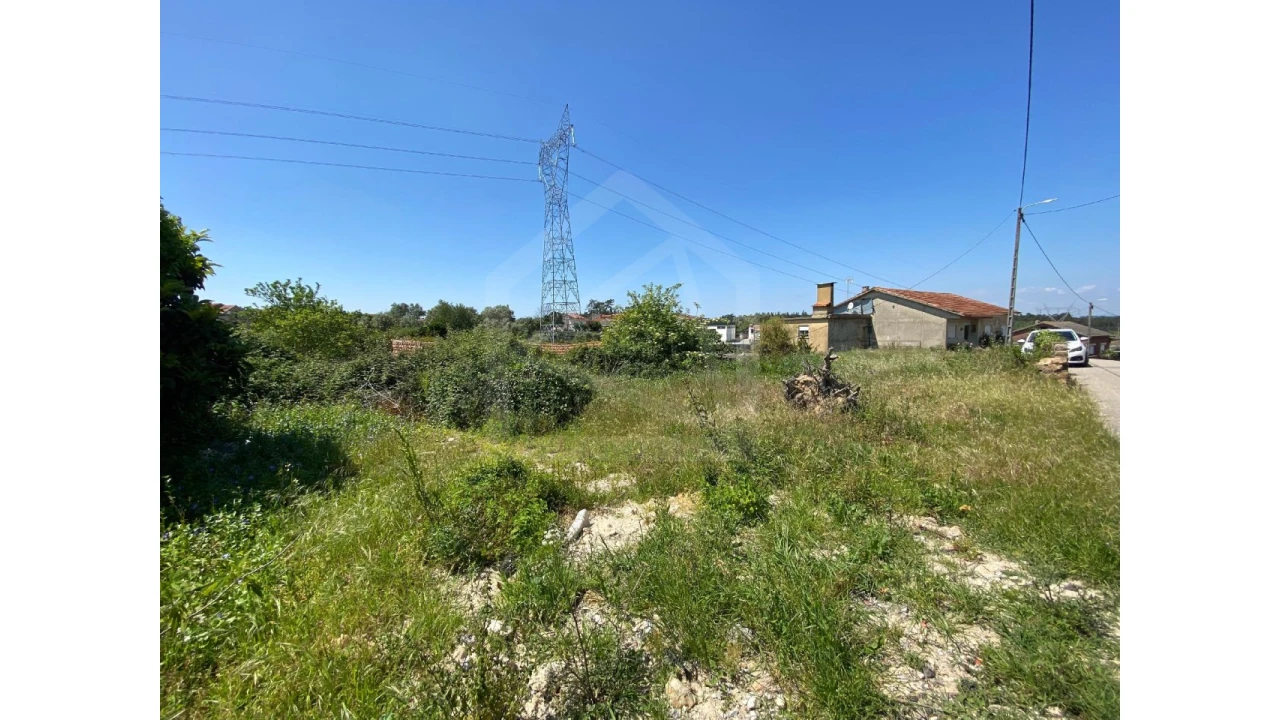 Terreno Agricola ou Rústico para Venda em Amoreira da Gândara, Paredes do Bairro e Ancas Foto 1