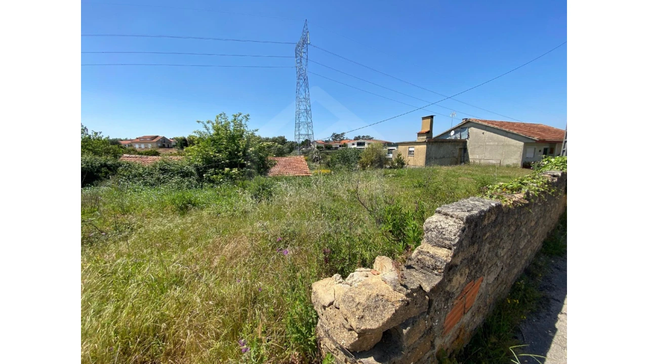 Terreno Agricola ou Rústico para Venda em Amoreira da Gândara, Paredes do Bairro e Ancas Foto 4