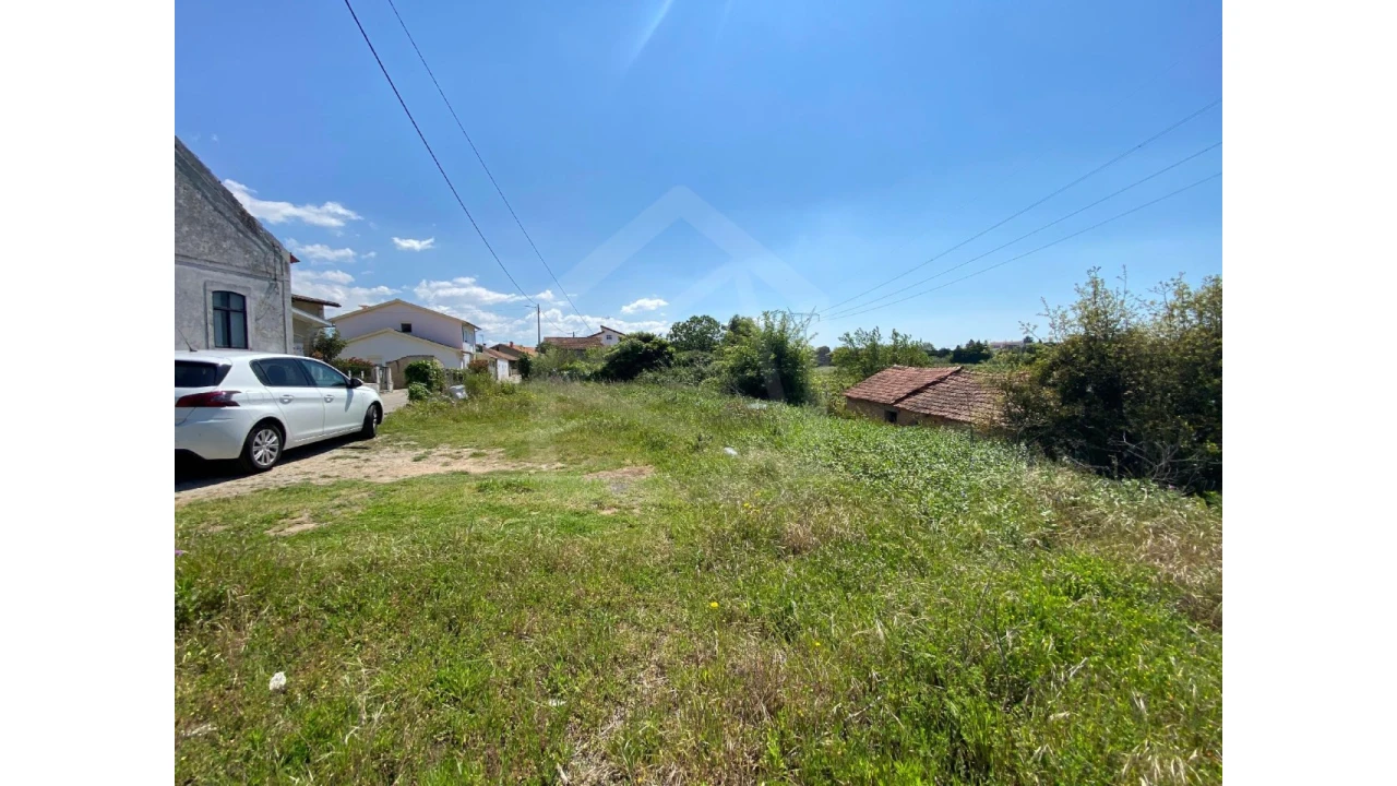 Terreno Agricola ou Rústico para Venda em Amoreira da Gândara, Paredes do Bairro e Ancas Foto 5