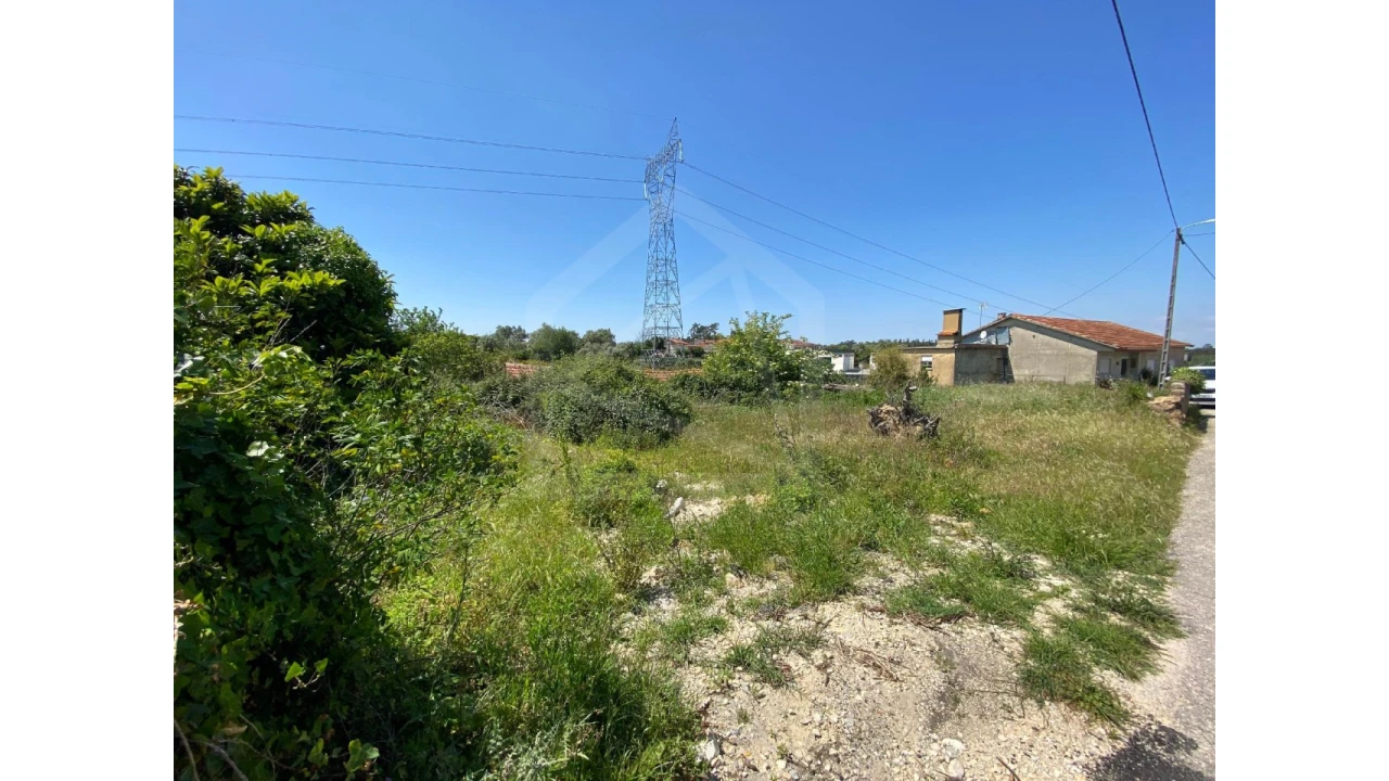 Terreno Agricola ou Rústico para Venda em Amoreira da Gândara, Paredes do Bairro e Ancas Foto 6