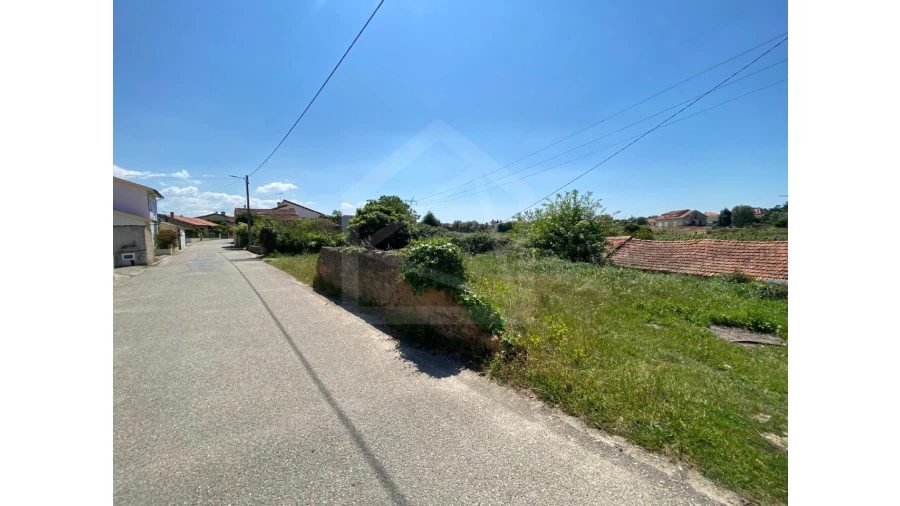 Terreno Agricola ou Rústico para Venda em Amoreira da Gândara, Paredes do Bairro e Ancas Foto 2