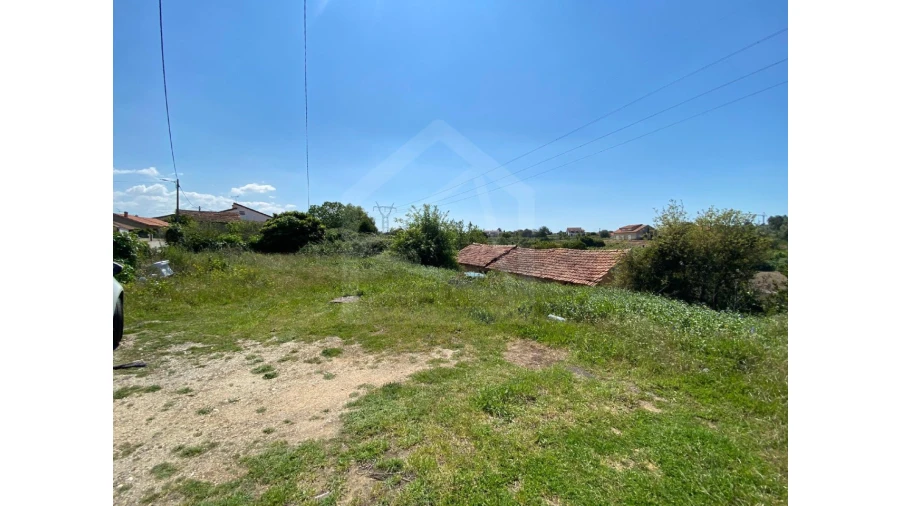 Terreno Agricola ou Rústico para Venda em Amoreira da Gândara, Paredes do Bairro e Ancas Foto 3