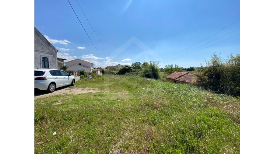 Terreno Agricola ou Rústico para Venda em Amoreira da Gândara, Paredes do Bairro e Ancas Foto 5